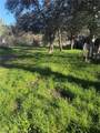 3626 Oleander - Photo 4