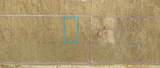 19 Avenue T - Photo 6