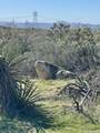 22 Tierra Del Sol Rd - Photo 1