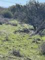 22 Tierra Del Sol Rd - Photo 8
