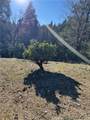 29373 Pine - Photo 12