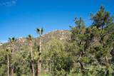 3267 Dehesa Rd - Photo 42