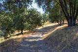 10 Timberwood - Photo 14