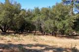 10 Timberwood - Photo 8