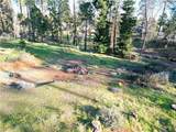 13788 Ferguson - Photo 10