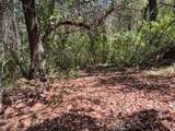 12 Broken Springs - Photo 4
