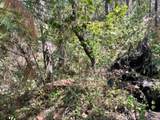 12 Broken Springs - Photo 5