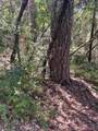 12 Broken Springs - Photo 7