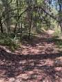12 Broken Springs - Photo 8