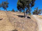 30223 Morton - Photo 22