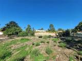 2442 Cross Street - Photo 5
