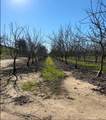 875 Geer - Photo 25