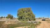 0 Twenty Mule Team Rd - Photo 8