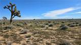 0 Twenty Mule Team Rd - Photo 14