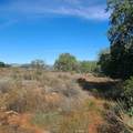 39280 Redonda Mesa - Photo 7