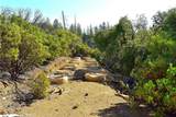 0 Incense Cedar Trl - Photo 13