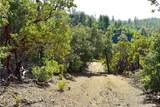 0 Incense Cedar Trl - Photo 14