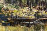 0 Incense Cedar Trl - Photo 18