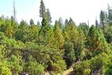 0 Incense Cedar Trl - Photo 23