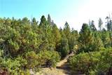 0 Incense Cedar Trl - Photo 27