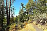 0 Incense Cedar Trl - Photo 33