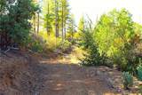 0 Incense Cedar Trl - Photo 38