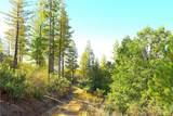 0 Incense Cedar Trl - Photo 39