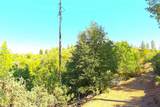 0 Incense Cedar Trl - Photo 40