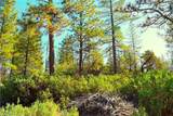 0 Incense Cedar Trl - Photo 42