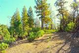 0 Incense Cedar Trl - Photo 43