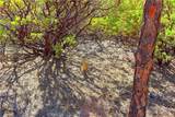 0 Incense Cedar Trl - Photo 46