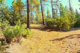 0 Incense Cedar Trl - Photo 49