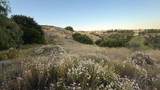 4 Coya Trail - Photo 12