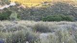 4 Coya Trail - Photo 21