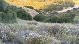 4 Coya Trail - Photo 22