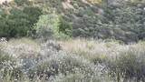 4 Coya Trail - Photo 24