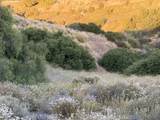 4 Coya Trail - Photo 27