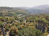 33444 Couser Canyon - Photo 4
