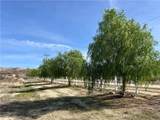 47258 Lower Ranch - Photo 8