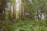 32100 Forest - Photo 5