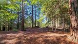 12301 Docker Hill - Photo 13