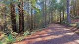 12301 Docker Hill - Photo 10