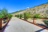 35131 Rangpur Ln - Photo 61