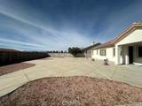 19721 Chicory Court - Photo 39