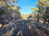 25 Quail Ridge - Photo 4