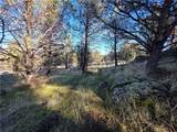25 Quail Ridge - Photo 5