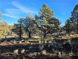 25 Quail Ridge - Photo 8