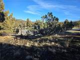 25 Quail Ridge - Photo 9