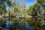 39250 Ortega Highway - Photo 47