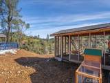 14091 Highview Trail - Photo 56